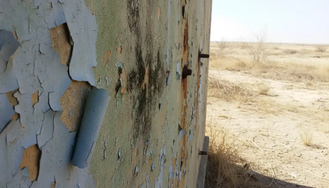 Regional environmental challenges affecting paint longevity